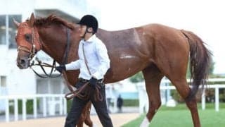 【札幌記念展望】夏競馬最大のレース、あの馬の巻き返しを期待したい