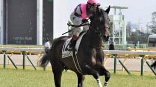 【門別競馬情報】シーズン中に3度も「史上最高」を更新！今夜メイン12Rは日高の特産品名が冠された「北海道日高乳業ヨーグルッペ特別」/地方競馬情報