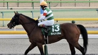 【先週のJRA抹消馬】オープン馬ヴァントシルム・ハットラブ、ニシノフラワー孫ニシノベースマンなど