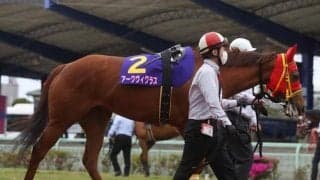 【読売レディス杯レース予想】ダートグレード馬・アークヴィグラス、久々の勝利へ/NARレース展望