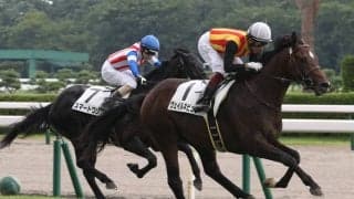 【新馬/新潟5R】圧倒的人気のヴェイルネビュラがデビューV