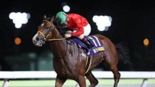 【大井・黒潮盃結果】10番人気インペリシャブルが突き抜け6馬身差圧勝