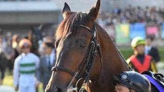 【次走】キセキは京都大賞典から天皇賞・秋を目標に