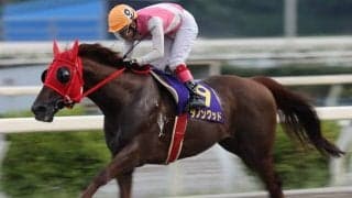 【建依別賞 枠順】ダノングッドは8枠9番、ピオネロは7枠7番