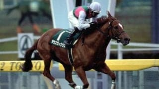 【地方競馬】最後の世代も活躍目立つ　サウスヴィグラス産駒/斎藤修コラム