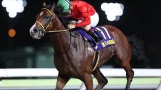 【黒潮盃】6億円を超え売上レコードを更新！