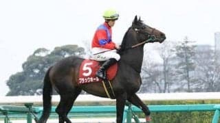 札幌記念、ラッキーライラックの牙城を崩す「穴馬候補」は３頭いる