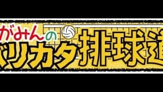 ながみんのバリカタ排球道/堺bzファンフェスレポ♪