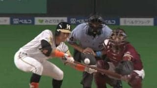 日ハム杉谷の“送りバント詐欺”にファン笑顔「騙されないよ」「ネタが絶えない」