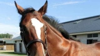 【本日の注目ポイント】ゴールドドリーム半妹のデビュー戦、全馬連闘の小倉1Rなど