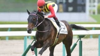 【北九州記念】「武豊騎手×高橋康之厩舎」は「直近5年」の複勝回収率127.8％！/ゴールデンコンビ