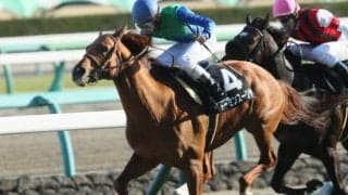 【札幌記念】「直近1年」成績は8-6-5-35で複勝率35.2％、複勝回収率118.5％！「小野次郎厩舎×横山和生騎手」のトーセンスーリヤ/ゴールデンコンビ