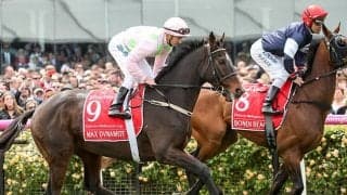 【海外競馬】グレイトジャーニー産駒の10歳馬マックスダイナマイトが引退、2015年メルボルンC2着