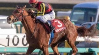 【札幌記念前日オッズ】ラッキーライラックが2.1倍で1番人気