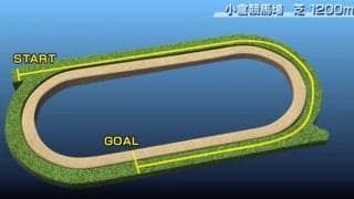 【北九州記念 コース解説】下りスタートからペースが上がる電撃戦