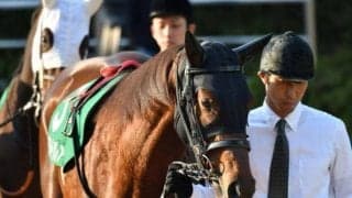 【北九州記念予想】快速牝馬が揃った一戦・モズスーパーフレア枠とスピード生かす/JRAレース展望