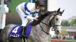 【札幌記念予想】ノームコア 2000mは久々だがオール3着以内/JRAレース展望