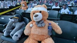 【MLB】人間だったら一大事!?　テディベアの頭部に打球直撃＆包帯姿に「脳震盪プロトコルをパス」