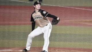 ミスターファイターズ・田中幸雄が見るここまでの日本ハム「期待を上回っている」