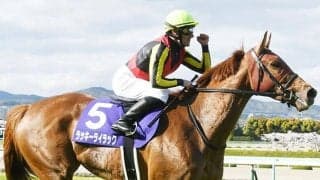 【札幌記念・馬体重】ラッキーライラックは524kg(0)、ノームコアは468kg(+2)