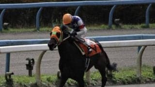 【加賀友禅賞レース予想】石川ダービー馬・ハクサンアマゾネス 負けられぬ戦い/NARレース展望