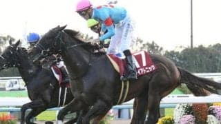 GIIIキーンランドC＆新潟2歳Sに注目/今週の競馬界の見どころ