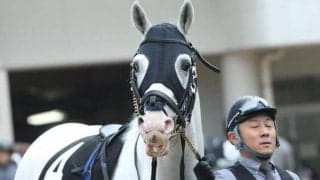 【BSN賞ハンデ確定】ハヤヤッコは56.0kg、ハイランドピークは57.0kg