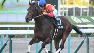 【キーンランドC】フルゲート16頭に21頭の登録　2頭が朱鷺S、2頭が自己条件にも/出走馬決定順