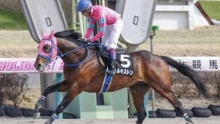 【小倉サマージャンプ】フルゲート14頭に15頭の登録、最後の1枠が抽選に/出走馬決定順