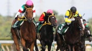 【新潟2歳S展望】世代最初のマイル重賞、あの穴馬に期待したい