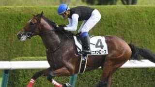 【門別競馬情報】早くも昨年の総売上に迫る勢い！門別ナイター「実りの秋」へ。今夜メイン11Rは「ドゥラメンテ・プレミアム」/地方競馬情報