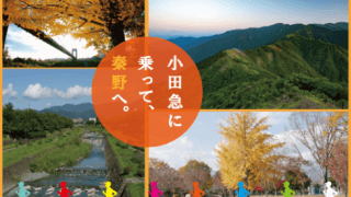 ランニングイベント「表丹沢トレイルラン」と「秦野名水巡りラン」開催…東京マラソン財団×秦野市×小田急グループ