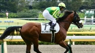 【次走】サトノフラッグは戸崎圭太騎手とのコンビでセントライト記念へ