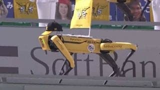 「怖い通り越してシュール」　鷹“ロボット軍団”の毎日進化するダンスに注目