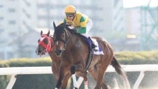 【岐阜金賞】3冠が懸かるニュータウンガールは6枠8番