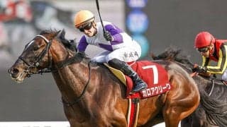 【次走】ガロアクリークは引き続き川田将雅騎手とのコンビでセントライト記念へ