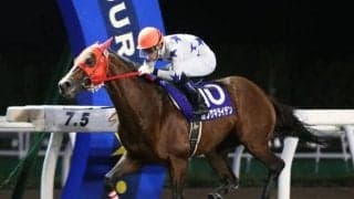 【門別競馬情報】盛夏の門別ナイターも残り2夜。来季は「超快適ナイター」を楽しんでいただけますようにーー。「一般社団法人東京馬主協会特別」/地方競馬情報