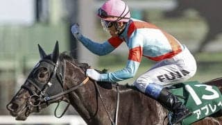 【次走】アブレイズは引き続き藤井勘一郎騎手とのコンビでローズSへ