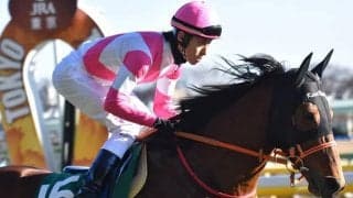 【次走】ケイアイノーテックは富士Sへ、鞍上は津村明秀騎手