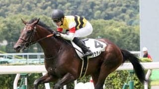 【新馬/小倉5R】グラティトゥーがデビューV！ディープモンスターは放馬で除外