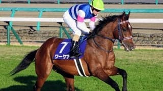 【新潟記念想定】重賞3勝馬カデナ、3歳馬ワーケア、中日新聞杯覇者サトノガーネットなど19頭
