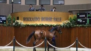 【サマーセール2日目】バイオスパークの半弟「ナナヨーティアラの2019」が4800万円で最高価格