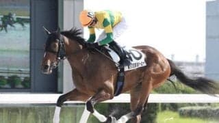 【岐阜金賞予想】ニュータウンガール、地元では負けられない/NARレース展望