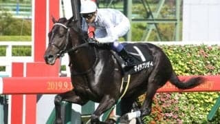 マイラプソディは武豊騎手とのコンビで神戸新聞杯へ