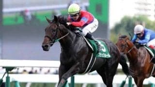 ブラックホールは菊花賞へ直行