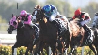 アドマイヤマーズはスワンSからマイルCSへ