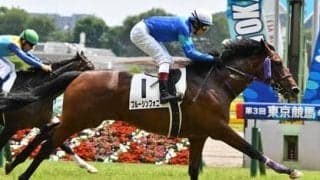 新潟２歳Ｓは将来性より完成度を重視。穴党記者が見抜いた３頭の穴馬