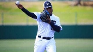 元中日エルナンデスが現役引退　「3D」の1人として2015年に138試合に出場