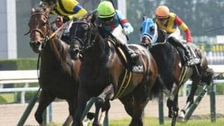 【キーンランドC予想】スプリンターとして高資質なダイアトニックに期待