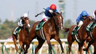 【新潟2歳S予想】 今年はディープインパクト産駒の1強!? 血統評論家がヒモ穴候補として狙いたい3頭とは？/JRAレース展望